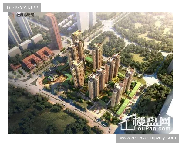 尊龙官网地址官方入口更新动态，第一时间掌握最新登录地址变化信息
